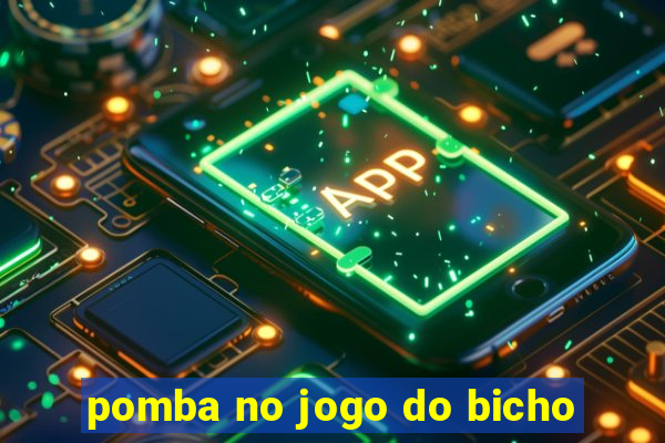 pomba no jogo do bicho